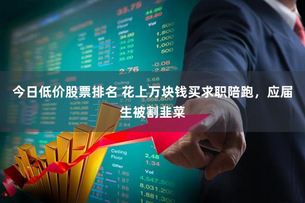今日低价股票排名 花上万块钱买求职陪跑，应届生被割韭菜